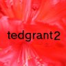 Ted Grant II